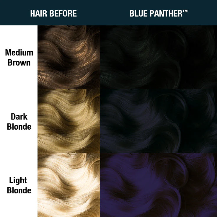 144-blue-panther-supernaturals-amplified--3.webp Blue Panther® - Supernaturals - Amplified™